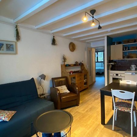 Appart 50M2 A Villard-De-Lans, 6 Pers, 2 Ch, Balcon, Ascenseur - Fr-1-515-143 외부 사진